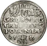 Reverse 3 Groszy (Trojak) 1585