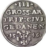 Reverse 3 Groszy (Trojak) 1546 Danzig