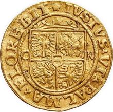 Ducat 1529  CN 