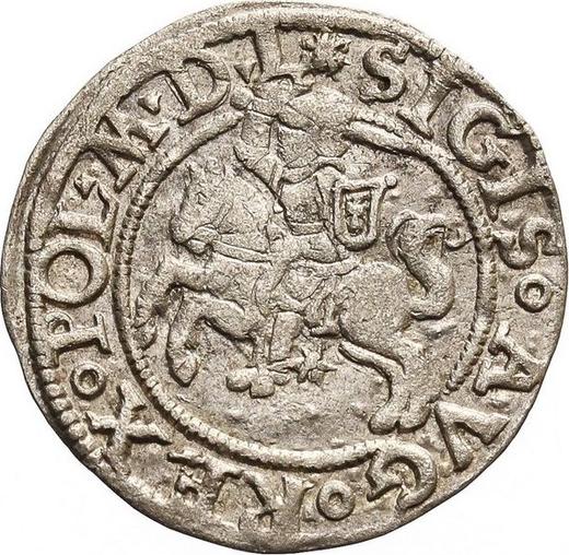 Rewers monety - Półgrosz bez daty (1545-1572) "Litwa" - Polska