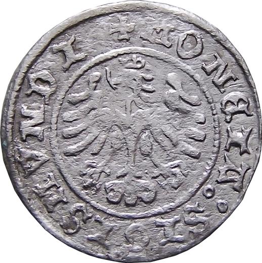 Reverse 1/2 Grosz 1507 - Poland