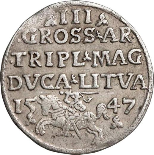Reverse 3 Groszy (Trojak) 1547 "Lithuania" - Poland