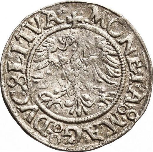 Awers monety - Półgrosz bez daty (1545-1572) "Litwa" - Polska