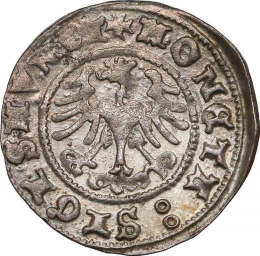 Reverse 1/2 Grosz 1509 - Poland